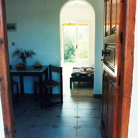 Savvas * Melikia